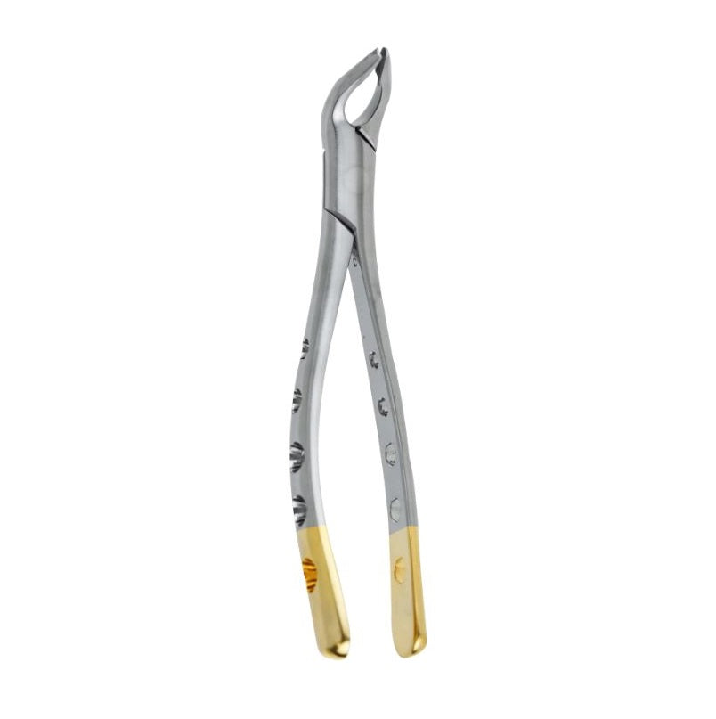 Atraumatic Extraction Apical Retention Forceps-Lower Universal Premolars German Stainless - Surgical instruments company