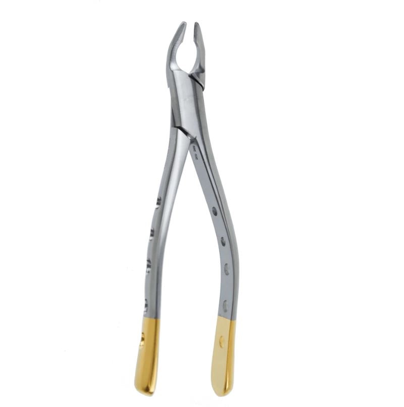 Atraumatic Extraction Apical Retention Forceps-Upper Universal Premolars German Stainless - Surgical instruments company