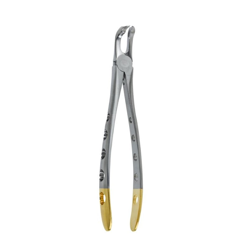 Atraumatic Extraction Forceps-Lower Molar Modified Cow Horn Beak German Stainless - Surgical instruments company