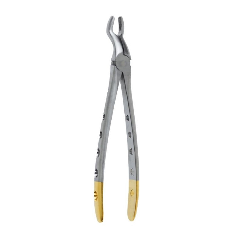 Dental Extraction Forceps F-6 WIDE Beak Upper 3rd Molars -Wisdoms Teeth German Stainless - Surgical instruments company