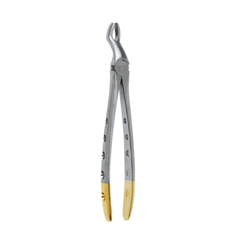 Dental Extraction Forceps F-6 WIDE Beak Upper 3rd Molars -Wisdoms Teeth German Stainless - Surgical instruments company