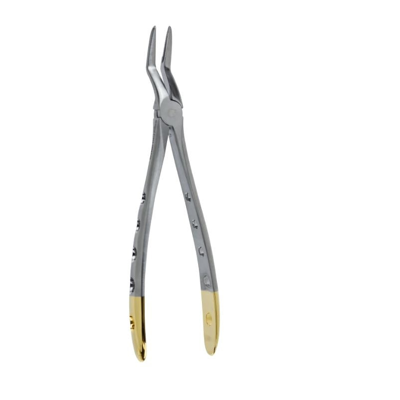 Dental Extraction Forceps F-51XL Upper Root German Stainless - Surgical instruments company